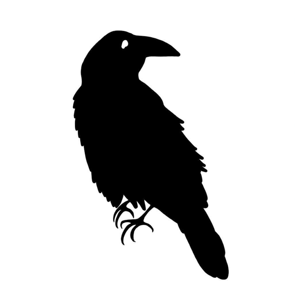 Morrigan Strategic Advisors